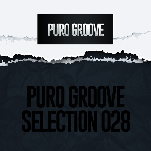 VA - PURO GROOVE SELECTION 028 [PURO040]